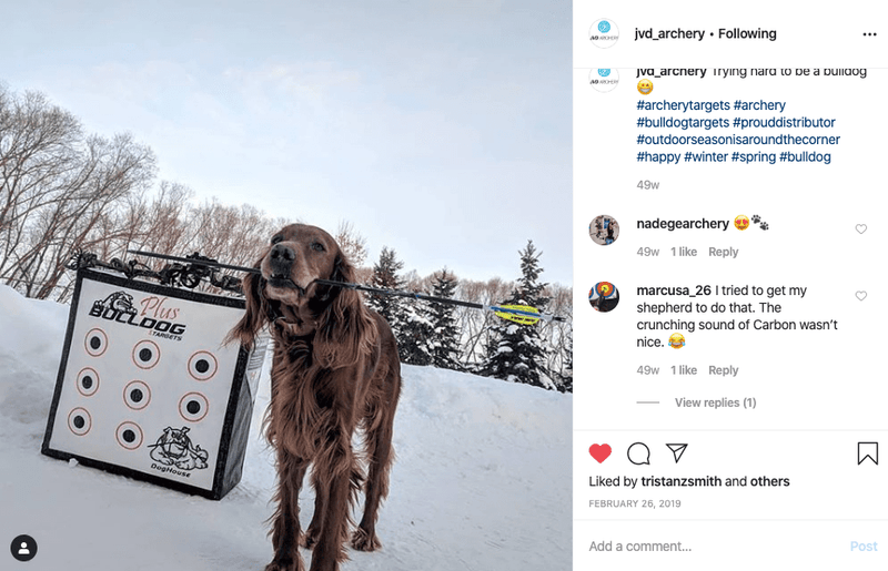 Doghouse FP Archery Target - Best Archery Targets by Bulldog Targets