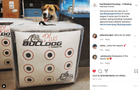 Doghouse FP Archery Target - Best Archery Targets by Bulldog Targets