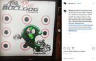 Doghouse XP Archery Target - Best Archery Targets by Bulldog Targets